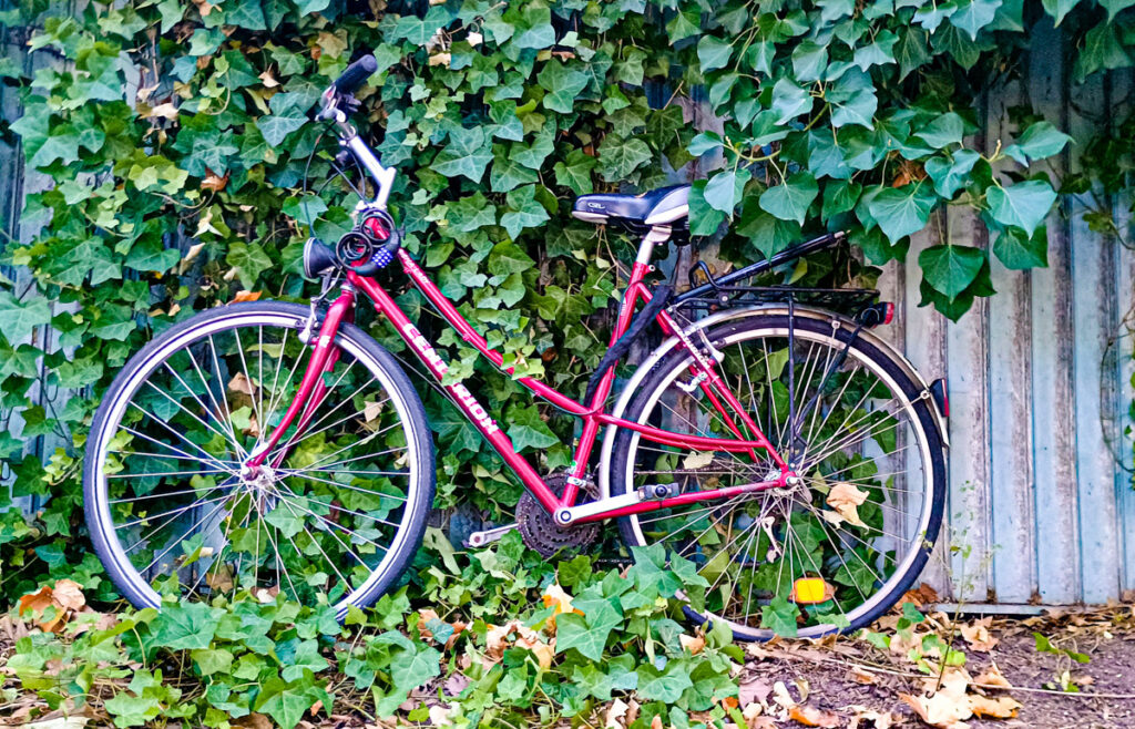 Wer hat ein gebrauchtes Fahrrad übrig? Foto: Arne Bicker